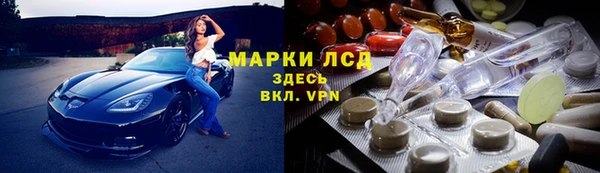 индика Гусиноозёрск