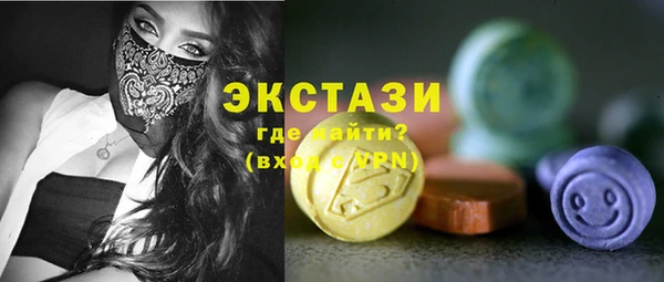 индика Гусиноозёрск