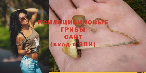 индика Гусиноозёрск