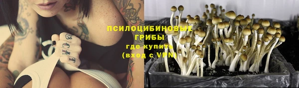винт Гусь-Хрустальный