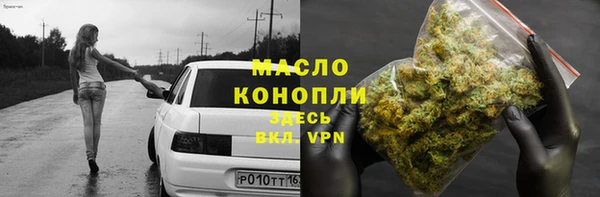 индика Гусиноозёрск