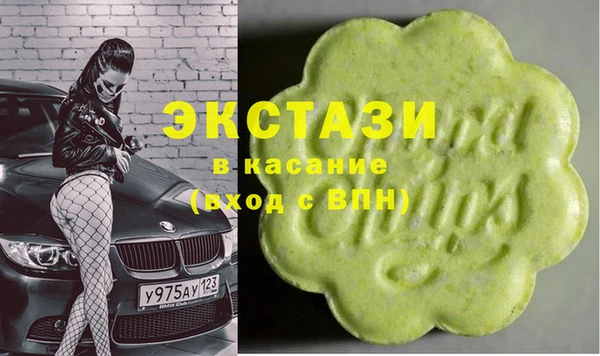 индика Гусиноозёрск