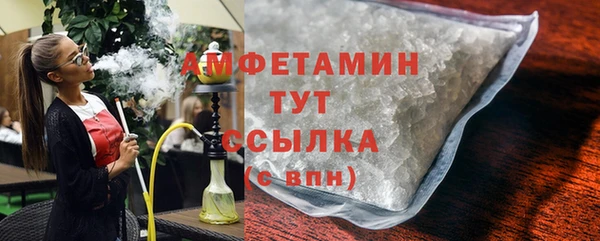 индика Гусиноозёрск