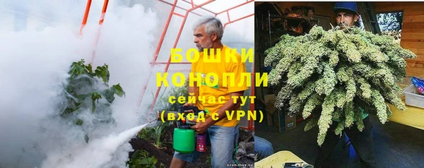 индика Гусиноозёрск