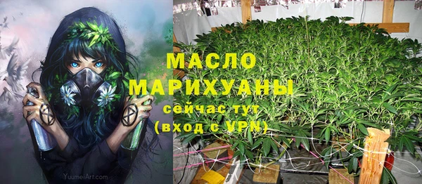 индика Гусиноозёрск