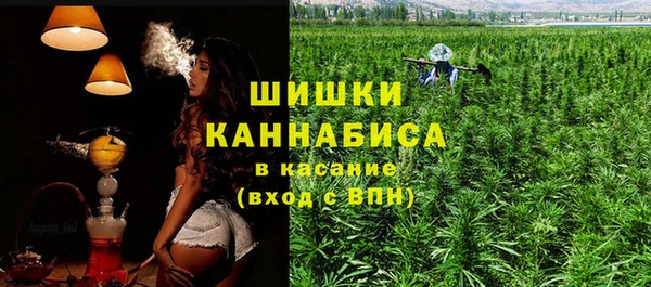 винт Гусь-Хрустальный