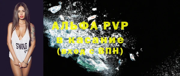 индика Гусиноозёрск