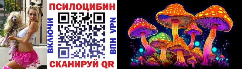 Галлюциногенные грибы Psilocybine cubensis  Купить где  Фурманов 